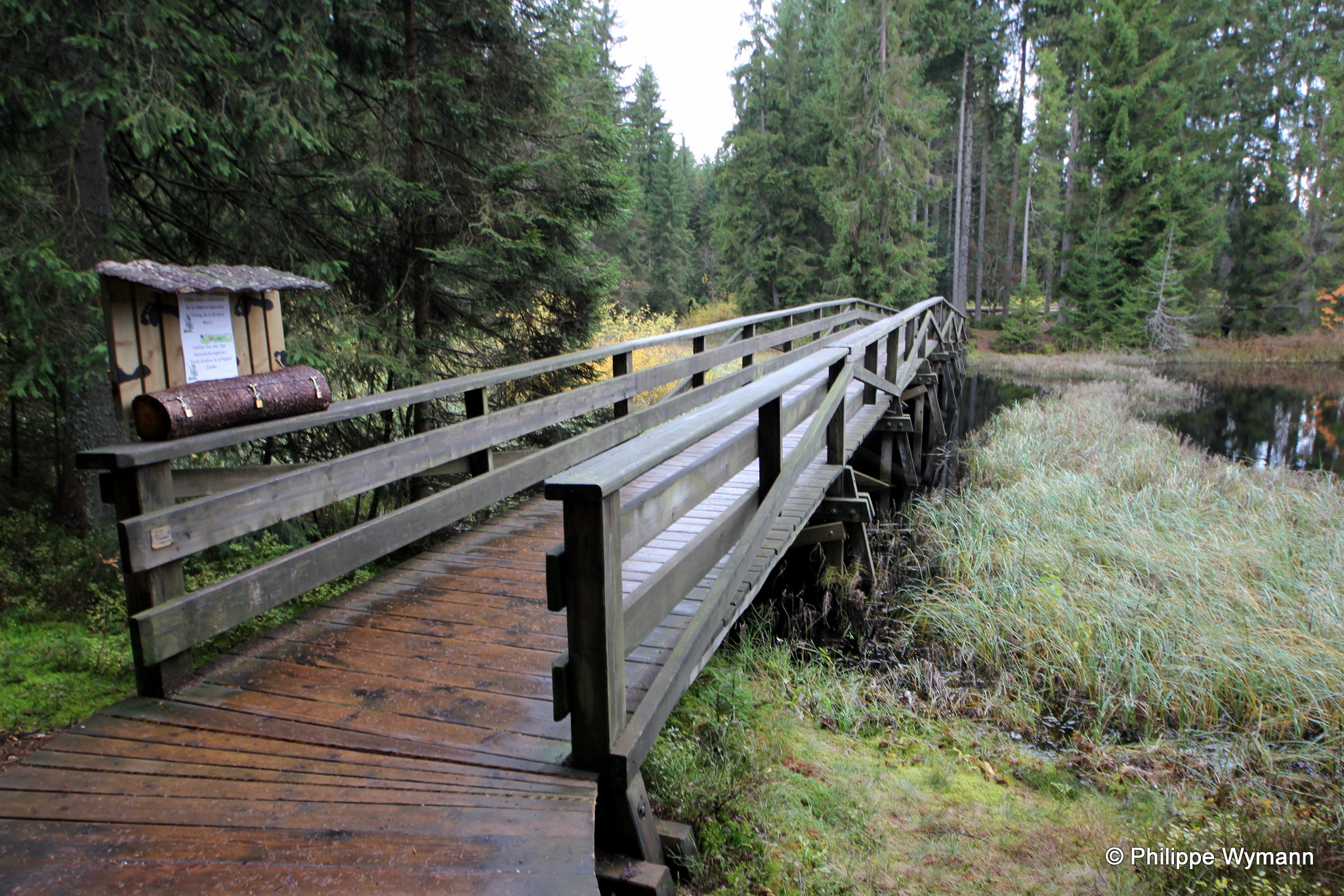 Etang de la Gruère, Saignelégier